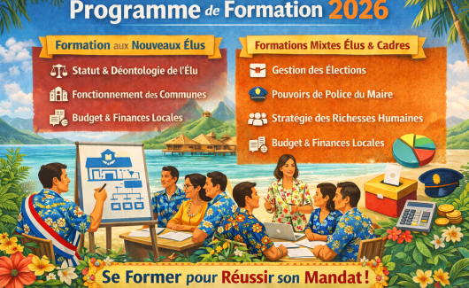 prog-for-2026