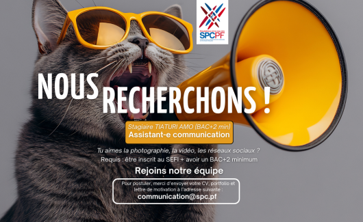 offre-stage-com